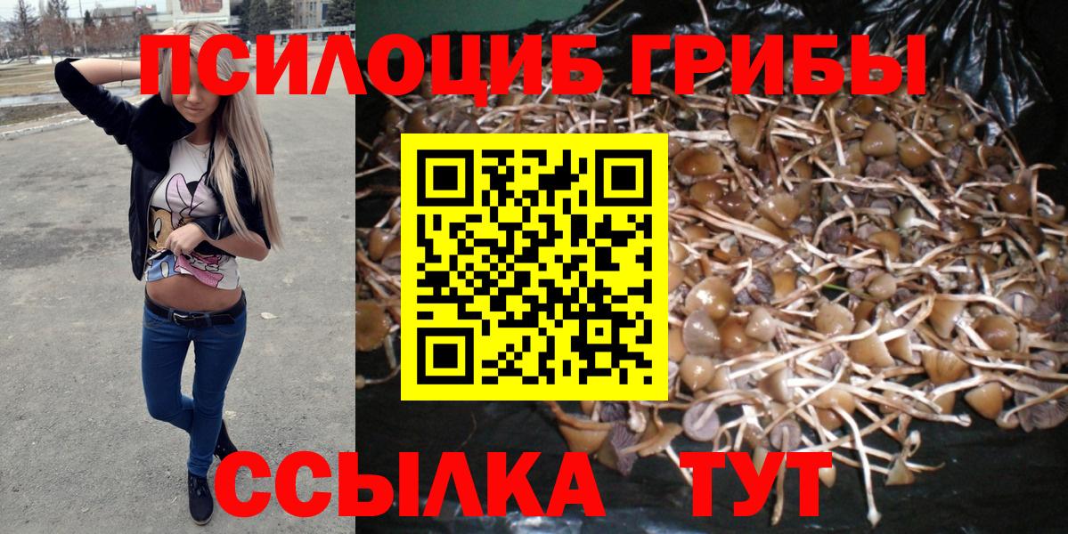 Миасс  Псилоцибиновые грибы MAGIC MUSHROOMS  Вход с VPN 